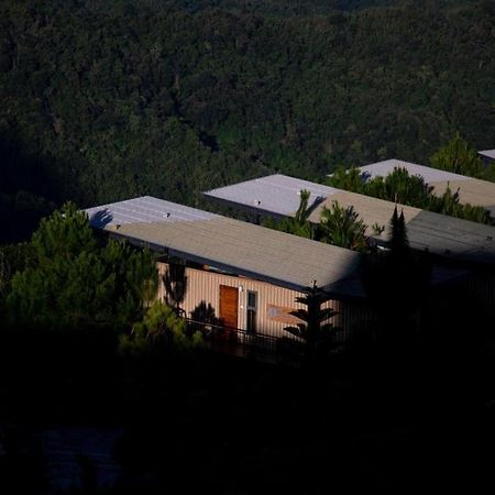 Pino Latte Resort And Hotel Ban Huai Phai Buitenkant foto